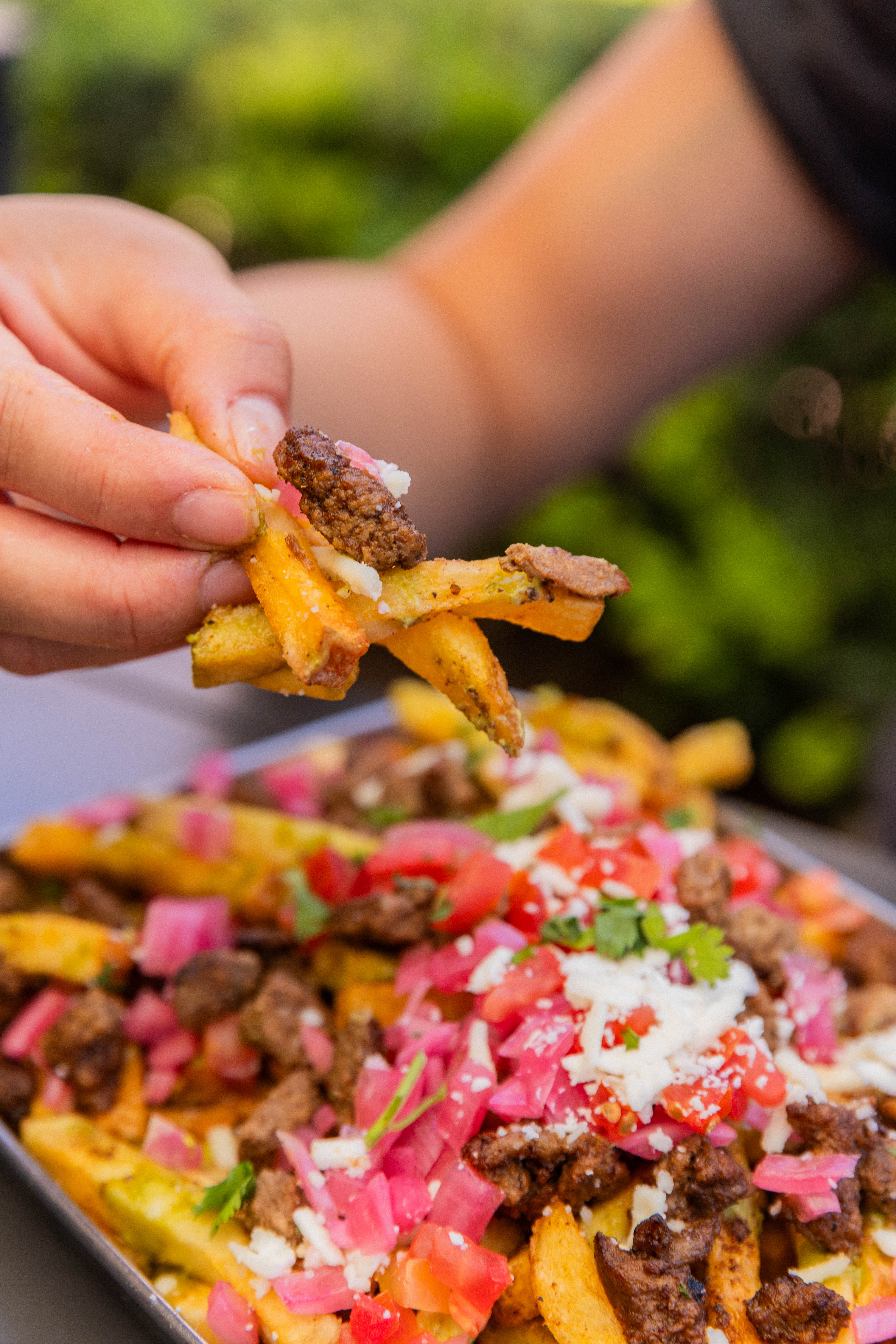 Carne Asada Fries